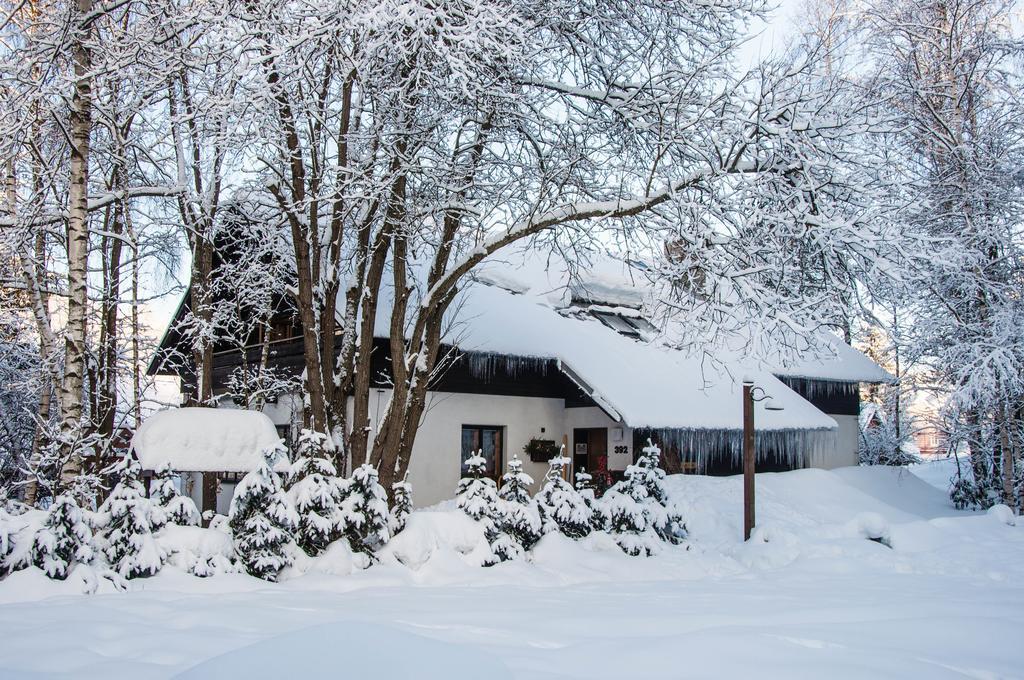 Privat - Harrachov 392 Otel Dış mekan fotoğraf